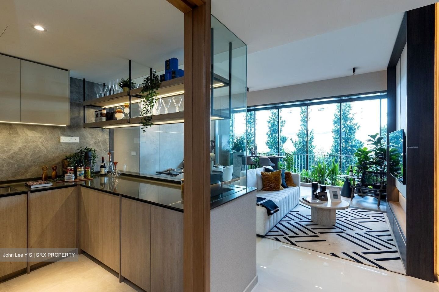 Kassia (D17), Condominium #444632931